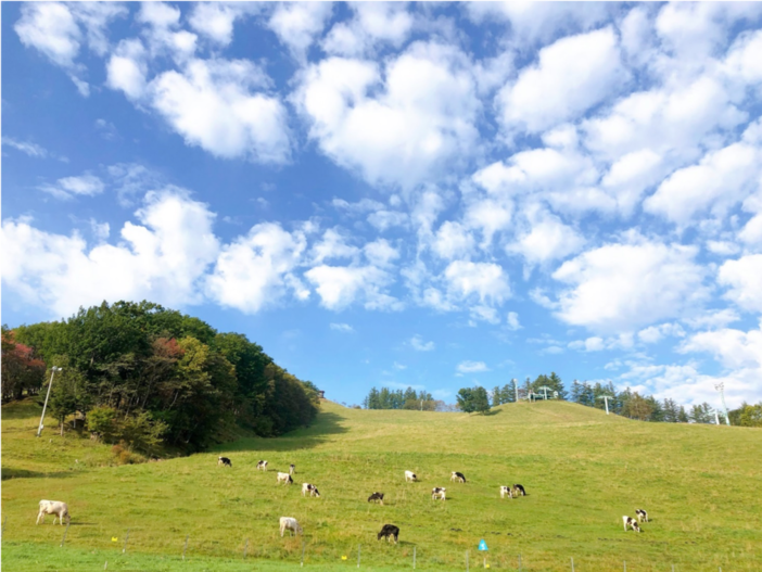 芽室町の風景のイメージ写真
