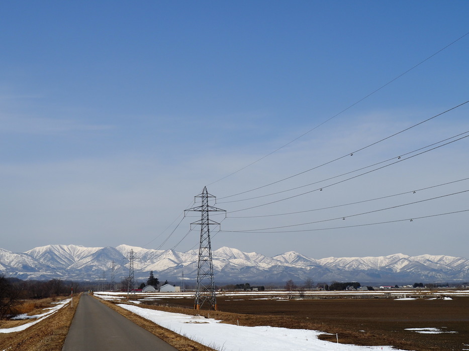 河川敷のようす