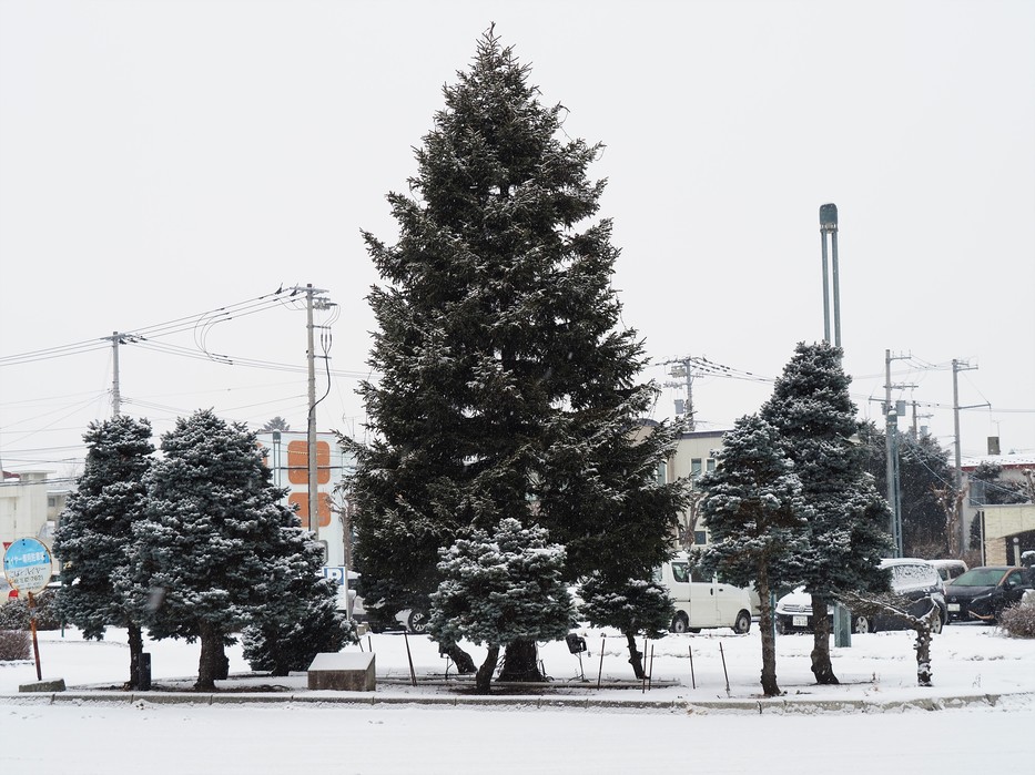 雪のサンタツリー