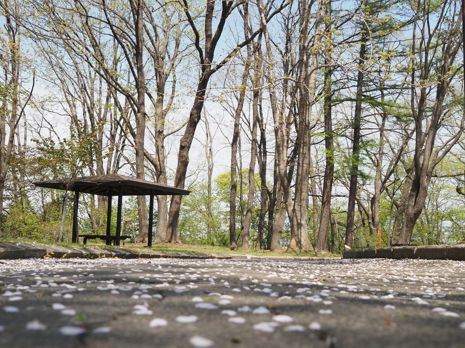 芽室公園