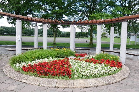 芽室南公園の花壇