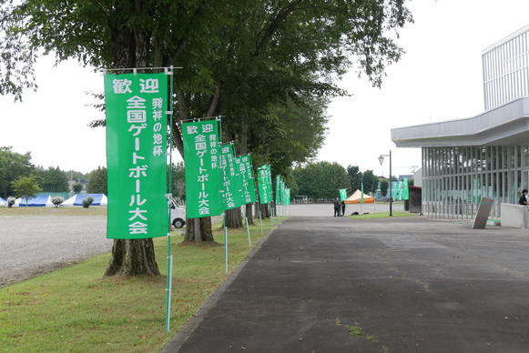 明日はゲートボール大会