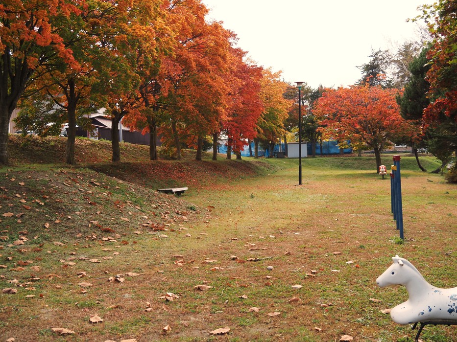 秋の大和児童公園