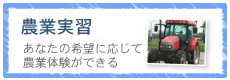 農業実習
