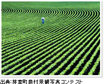 壮大な農場の様子