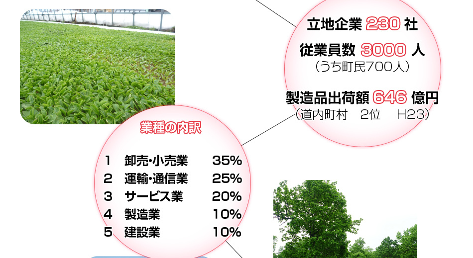 沿革の画像2枚目